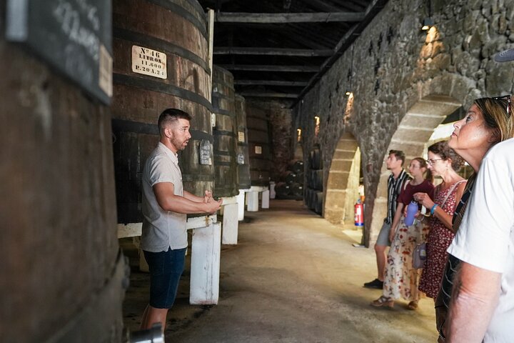Wine Cellars experience