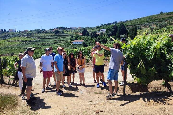 Wine Cellars experience