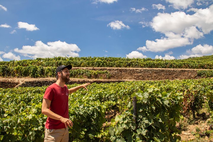 Wine Cellars experience