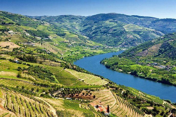 Douro Valley vineyards