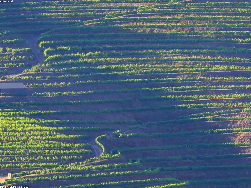 Douro Valley day trips