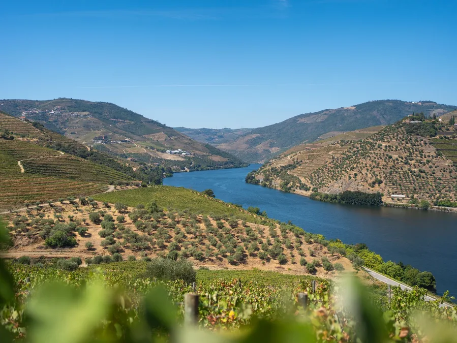 Douro Valley wine terraces Portugal landscape